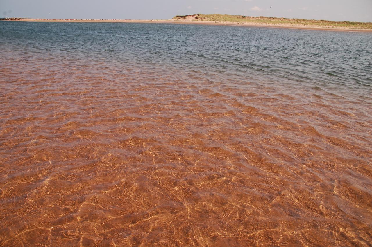 Goodview Cottages By Stanhope Beach Pei For Adults Only Екстер'єр фото