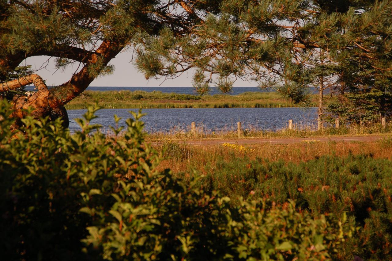 Goodview Cottages By Stanhope Beach Pei For Adults Only Екстер'єр фото